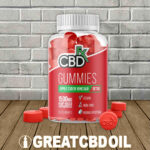 CBDfx Apple Cider Vinegar Gummies